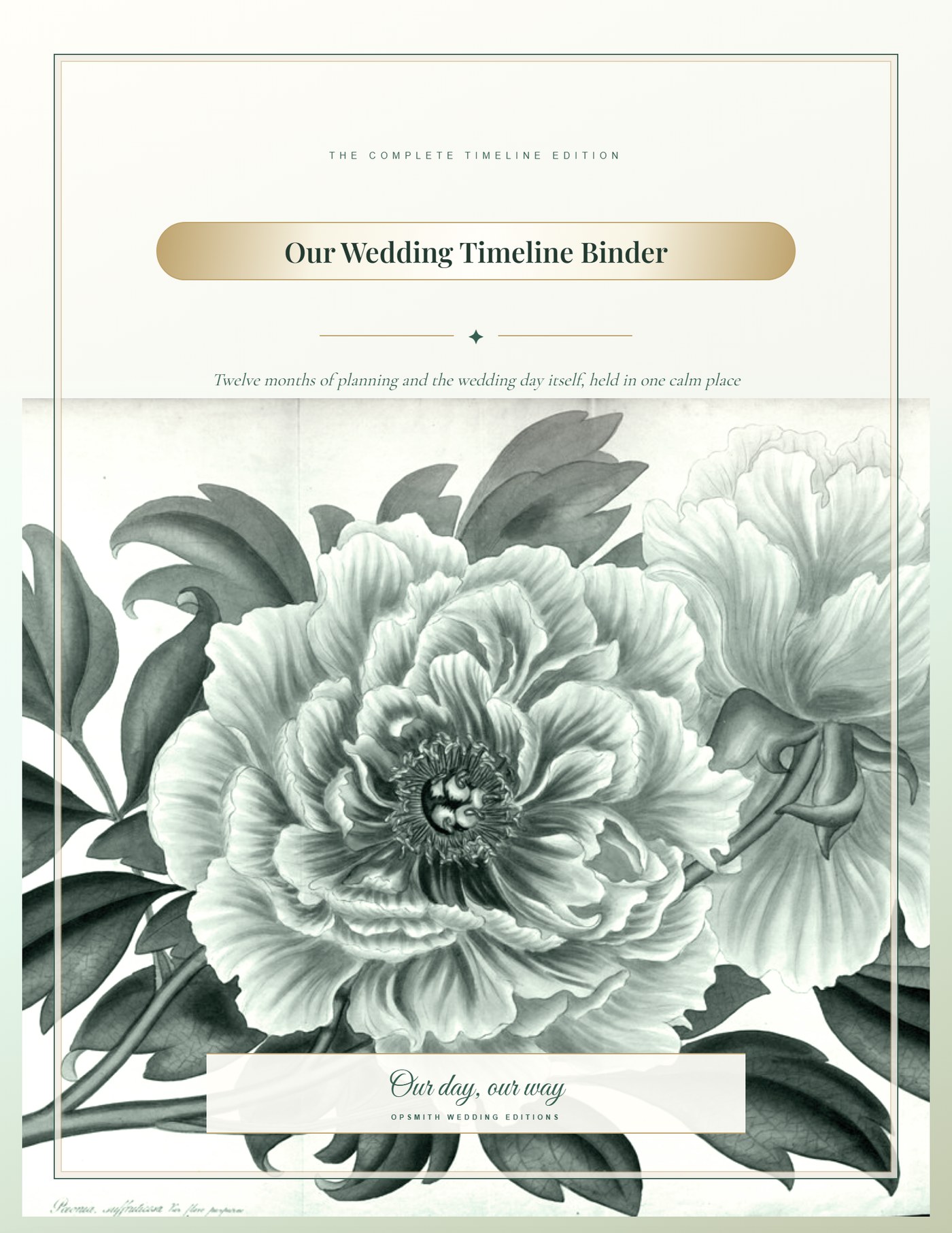 eucalyptus cover